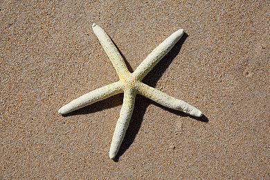 《古惑狼赛车重制版》制作人回应没有pc版原因 困难大没经费